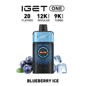 iGet ONE 12000 - Blueberry Ice