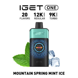 iGet ONE 12000 - Mountain Spring Mint Ice